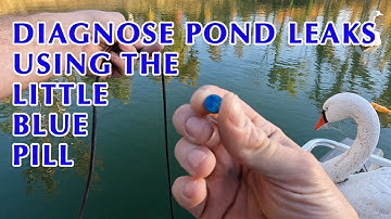 Pond Leaking? Use Dye Tablets to Help Find A Leak in your Pond