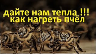 #пчёлы. Семьи пчёл не будут расти весной без тепла. Как сохранить тепло в гнезде и нагреть #пчёл.