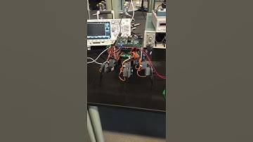 Hexapod Senior Design