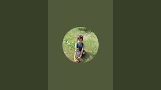 #Education video #anganwadi video #prathama class #Learning video #ଶିଶୁ ଶ୍ରେଣୀ #csc #spice money