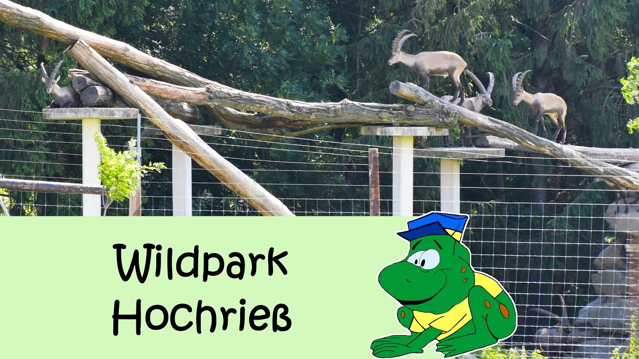 Wildpark Hochrieß, zomer 2024