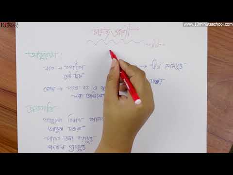 ১২.০৮. অধ্যায় ১২ : জীবের পরিবেশ, বিস্তার ও সংরক্ষণ - মরু উদ্ভিদের অভিযোজন