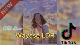 T.M.C‼️Wayase LDR by.CNX REMIXER 2k24