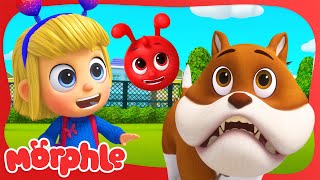 mila and morphles puppy chase brand new animal cartoons for kids