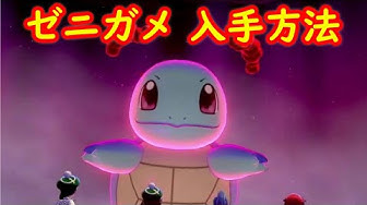 ゼニガメ Youtube