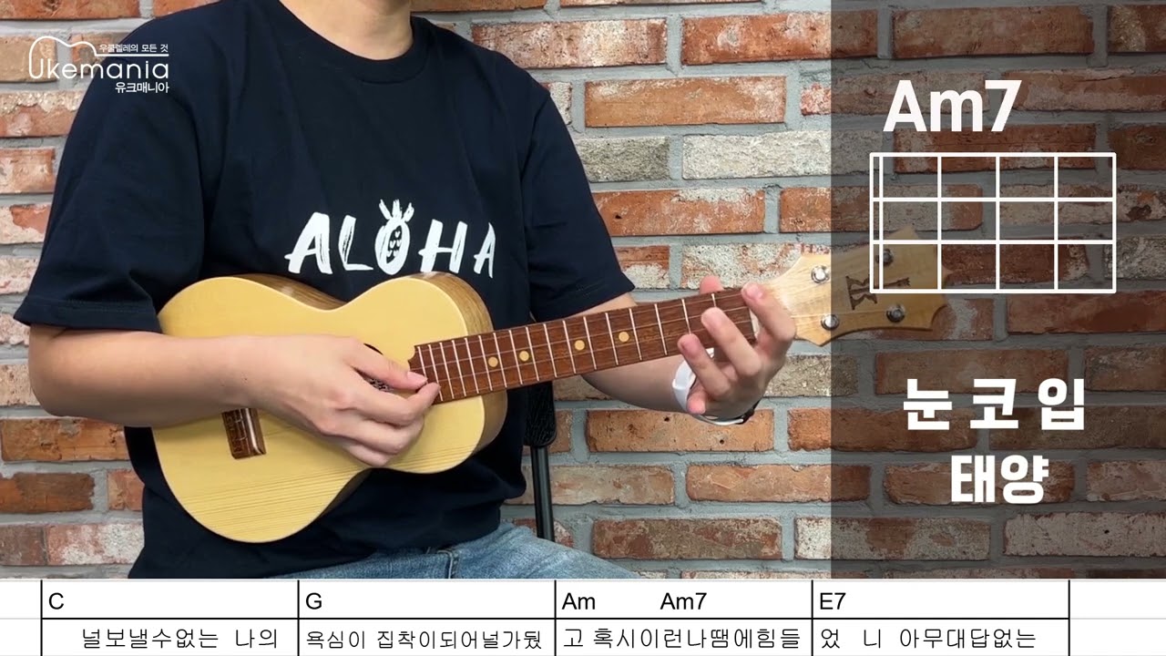 눈코입 - 태양 [우쿨렐레 배우기]
