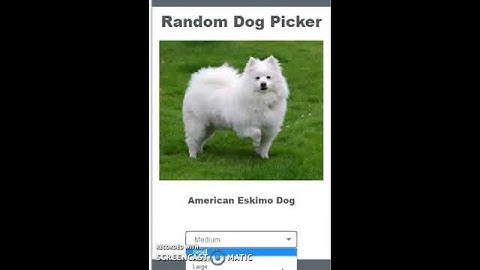 Code org Create PT Sample 3 Video