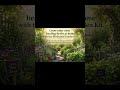 Medicinal Garden Kit Review Grow Healing Herbs at Home