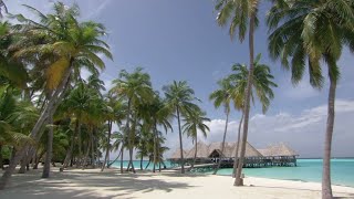 Мальдивы / Maldives: Scattering Diamonds / Релаксация