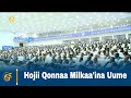 Hojii Qonnaa Milkaa'ina Uume