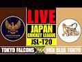 TOKYO FALCONS vs MEN IN BLUE TOKYO LIVE | TF vs MBT - CRICKEX INFO