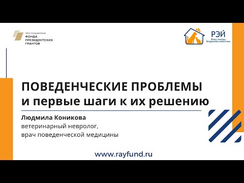 Поведенческие проблемы и первые шаги к их решению