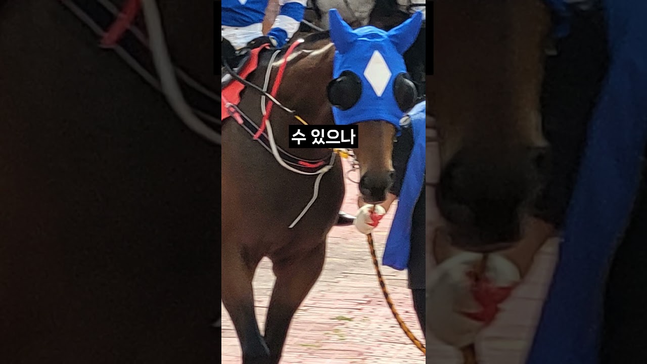 26.01.17 서울경마 07경주