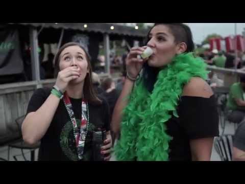 The Chive Gifscompany Landing