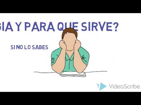 Vídeo: Per A Què Serveix La Sociologia?