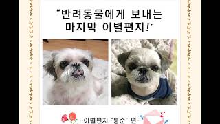창원경남 반려동물장례식 펫로스케어 이별편지 &quot;퉁순&quot;이 편