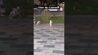 Kuchuk ikki oyoqlab yurarkan