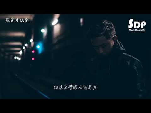 劉可   寂寞才說愛「高音質 x 動態歌詞 Lyrics」♪ SDPMusic ♪