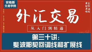 外汇交易基础知识入门课30：斐波那契回调线和扩展线（从入门到精通——全集必看）