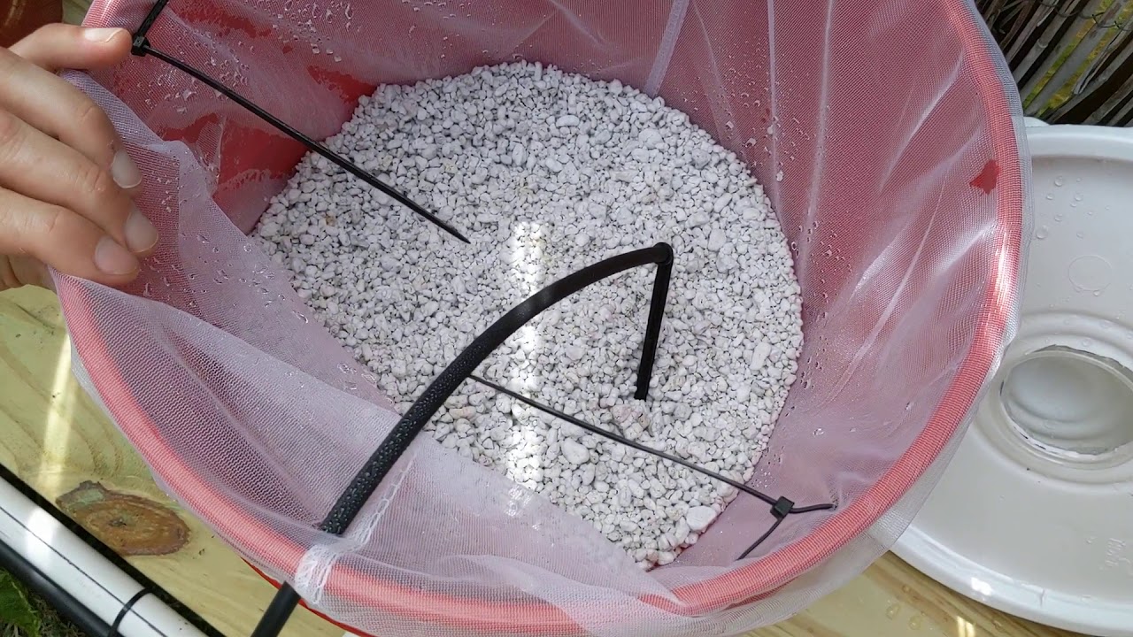 Dutch bucket YouTube