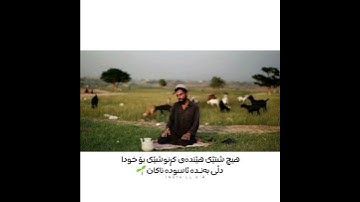 محمد النقيب 🌝🤍 اجمل حالات واتس اب دينية سورة طه فيديو قصيره