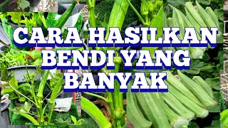 CARA  HASILKAN BENDI YANG BANYAK..