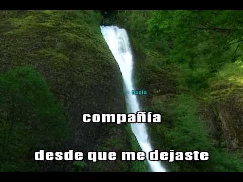 Bachata - Un gato en la oscuridad - Karaoke - YouTube
