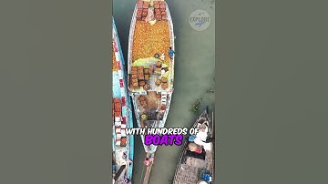 Cai Rang Floating Market, Vietnam – The Mekong’s Trading Hub 🚤#ytshorts #explore #shorts #travel