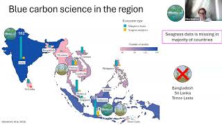 Seagrass in Southeast Asia: Status, blue carbon potential, and recent trends
