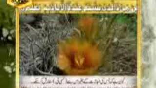 ayatul kursi 1 Video Dailymotion