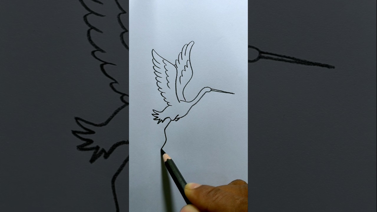 How to draw a flying heron birds 