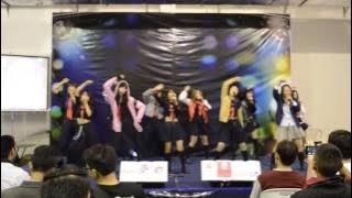 【MLD48】Yankee Soul