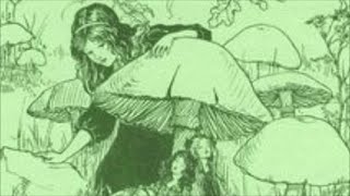 Peter Pan And The Good Fairies - Kaleidoscope