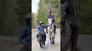 Family time❤️ Mother and daughter🥹 #shorts #horse #family