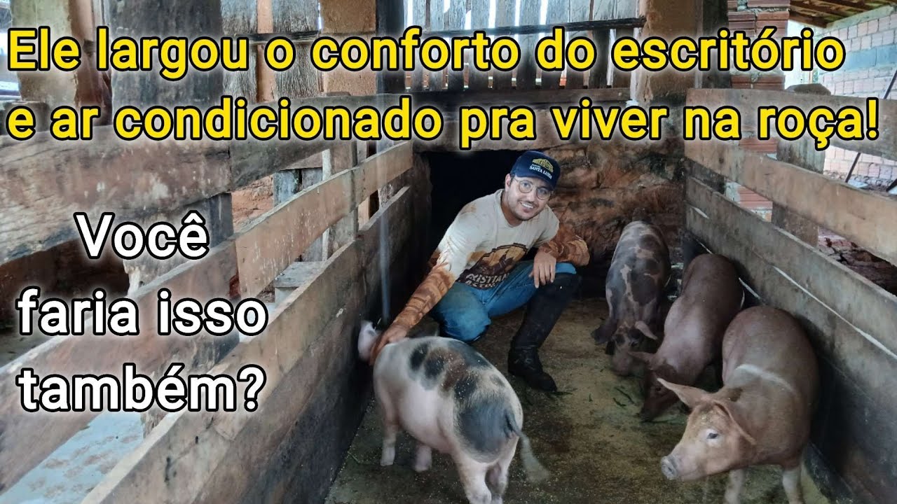 REFORMAMOS O CHIQUEIRO E LIMPAMOS A MANDIOCA: A lida com o Cristiano em Cássia! 