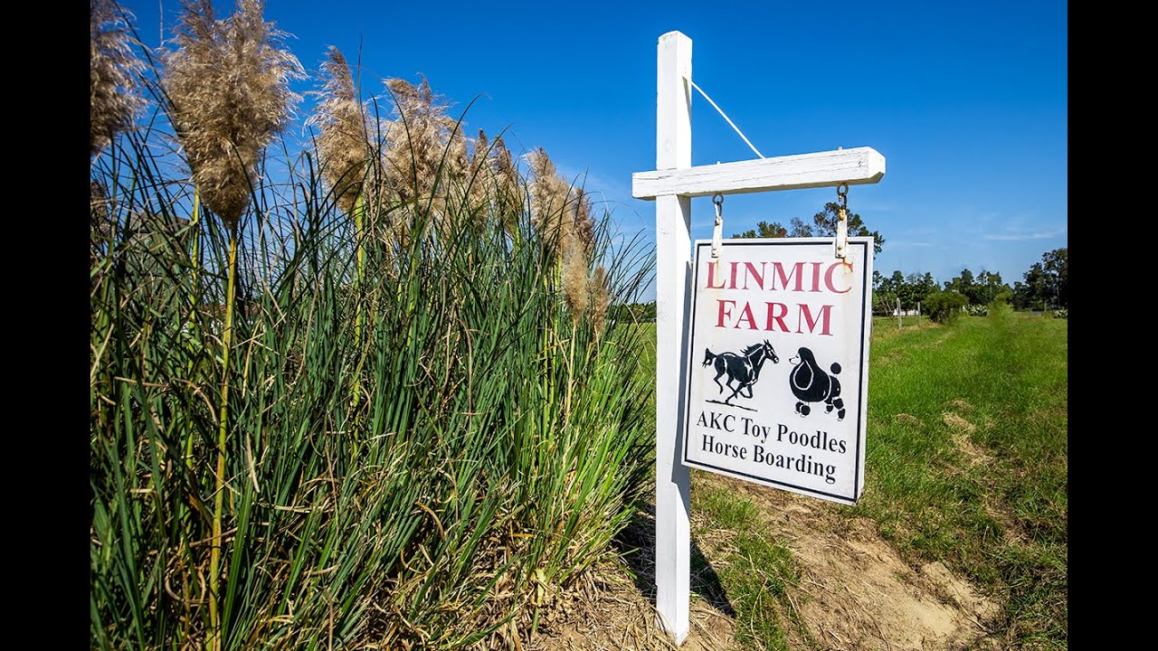 Linmic Farm, Loris, South Carolina YouTube