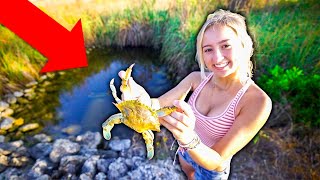 Catch & Cook OCEAN CREATURES for GIRLFRIEND! (Saltwater Microponds)