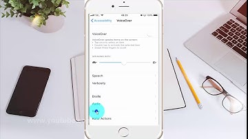 How to enable or disable voiceover Characters rotor on iPhone 6