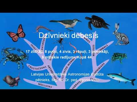 Dzīvnieki debesīs. Ilgonis Vilks (LU Muzeja eksperts, LU Astronomijas institūta pētnieks)