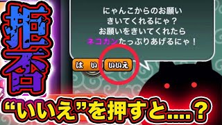 【拒否するとヤバい？】にゃんこからのお願いを「いいえ」に選択するとどうなる・・・・？【にゃんこ大戦争】