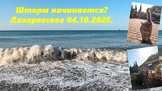 :   ?  04.10.2025.   .  