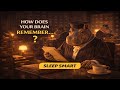 Memory Consolidation: The Process You Can't Skip
