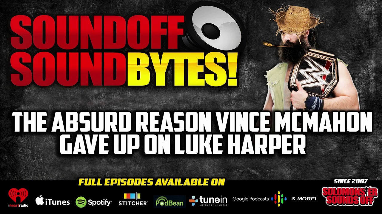 The ABSURD Reason Vince McMahon Gave Up On Luke Harper