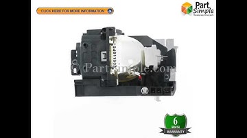 VT80LP OEM Replacement Lamp with Original Ushio Bulb