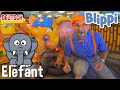 Blippi Deutsch - Blippi erkundet Dschungeltiere | Abenteuer und Videos für Kinder