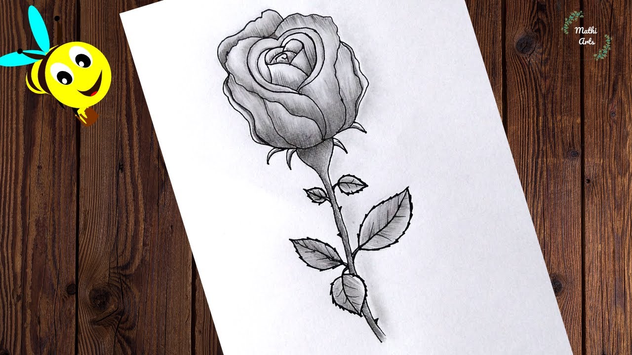How to Draw ROSE with Pencil Shading For Valentines day step by step