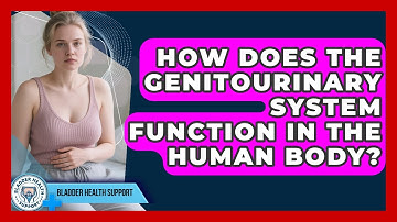 How Does the Genitourinary System Function in the Human Body? | Bladder Health Support News