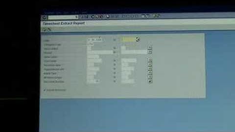#9 ZHRUT - Timesheet reporting for multiple people