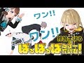【MZM×まりなす】出張版ばるすーたいむでワンコ大暴走