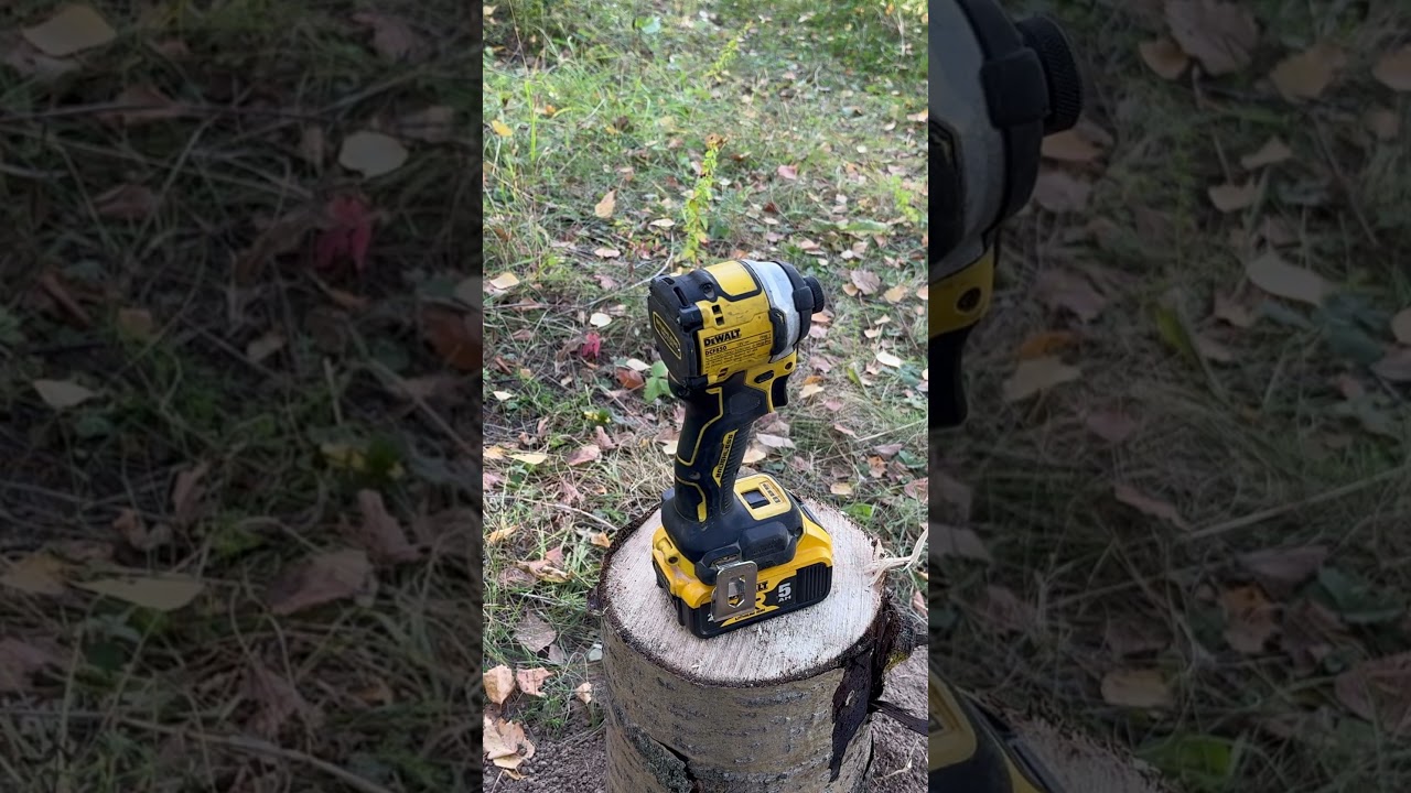 Modern camping in the forest.